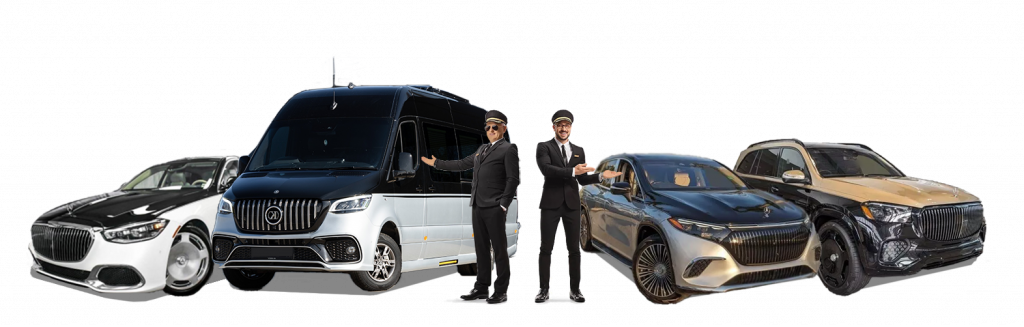 new-level-transport